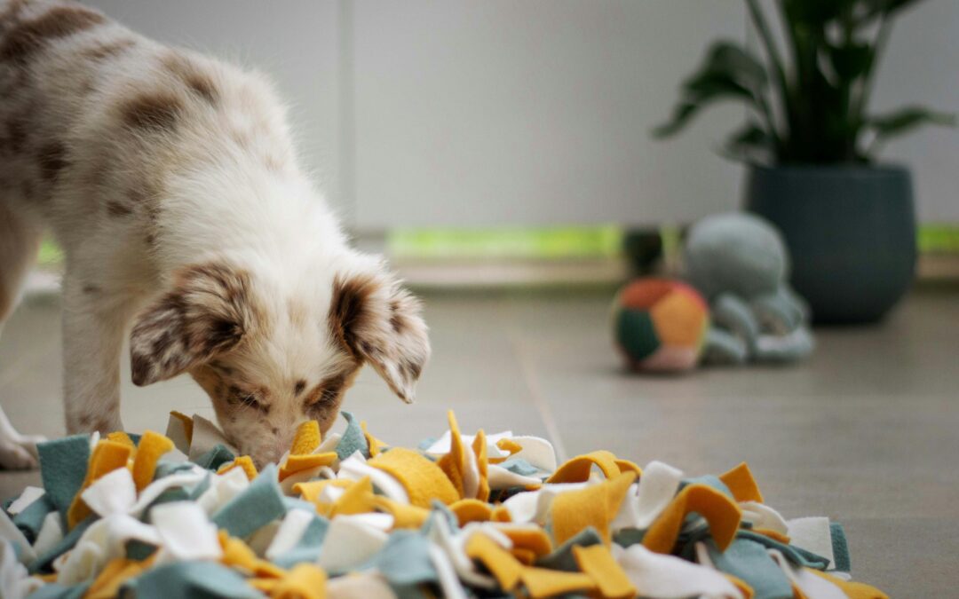 How to Pet-Proof Your Home: A Comprehensive Guide to Typical Household Toxins